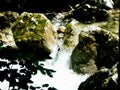 Rapids in the wild brook with boulders in the water 3 Royalty Free Stock Photo