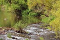 Rapids of the Yantra River