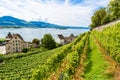 Rapperswil City at lake Zuerich, Switzerland - travel destination in Europe Royalty Free Stock Photo