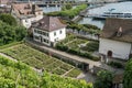 High angle view of the historic old town and rose gardens of Rapperswil with Lake Zurich behind