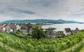 High angle view of the historic old town and vineyards of Rapperswil with Lake Zurich behind