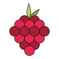 Rapsberries icon cartoon