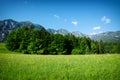 Rapsfeld at the Alps in spring time Royalty Free Stock Photo