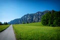 Rapsfeld at the Alps in spring time Royalty Free Stock Photo