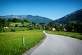 Rapsfeld at the Alps in spring time Royalty Free Stock Photo