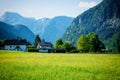 Rapsfeld at the Alps in spring time Royalty Free Stock Photo