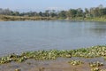 Rapti river of Chitwan national park in Nepal Royalty Free Stock Photo