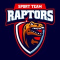 Raptor Head Sport Logo Badge Design