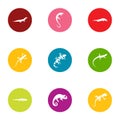 Raptor icons set, flat style Royalty Free Stock Photo