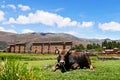 Raqchi, Peru, South America Royalty Free Stock Photo