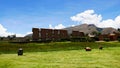 Raqchi, Peru, South America Royalty Free Stock Photo
