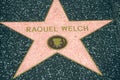 Raquel Welch Royalty Free Stock Photo
