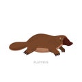 Rare animals collection. Platypus, Ornithorhynchus anatinus. Endemic Australian Duck-billed platypus. Flat style vector