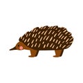 Rare Australian animal echidna. Cute vector illustration