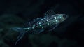 A rare bioluminescent fish hovers in the inky blackness its sleek body adorned with shimmering patterns never before