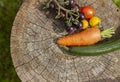 Rare black tomatoes, carrot, cucumber, fresh vegetables close up on wooden board