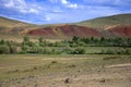 Rare bushes on a meager pasture at the foot of the red mountains