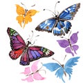 Rare butterflies wild insect in a watercolor style isolated.