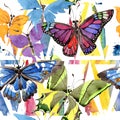 Rare butterflies wild insect in a watercolor style. Seamless background pattern. Fabric wallpaper print texture. Royalty Free Stock Photo