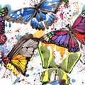 Rare butterflies wild insect in a watercolor style. Seamless background pattern. Fabric wallpaper print texture.