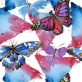 Rare butterflies wild insect in a watercolor style. Seamless background pattern. Fabric wallpaper print texture. Royalty Free Stock Photo