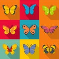 Rare butterfly icons set, flat style