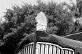 Crystal horse head on Classic American car closeup detail Royalty Free Stock Photo