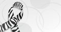 Rare disease day concept. Banner template with zebra ribbon awareness and text. Vector illustration