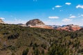 Rare landscape of South Guardian Angel from the top. Hoodoo and trees, Zion National Park - Image. Blue sky, bright colors