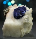 Rare Lazurite With Pyrite on Matrix Specimen Royalty Free Stock Photo