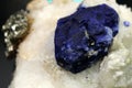 Rare Lazurite With Pyrite on Matrix Specimen Royalty Free Stock Photo