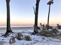 A rare look at snowy South Carolina at sunset - Hunting Island - USA Royalty Free Stock Photo