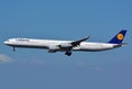 Rare Lufthansa Airbus A340 Big jumbo jet airplane in blue sky Royalty Free Stock Photo