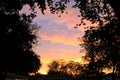 Rare Mammatus Clouds naturally framed by Trees after a Storm in the Midwest during Summer Royalty Free Stock Photo