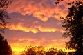 Rare Mammatus Clouds reflect brilliant orange after a Storm in the Midwest during Summer. Royalty Free Stock Photo
