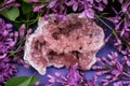 Rare Pink Amethyst Geode Cluster from Patagonia, Argentina. Surrounded by purple lilac flower. Royalty Free Stock Photo