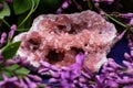 Rare Pink Amethyst Geode Cluster from Patagonia, Argentina. Surrounded by purple lilac flower.