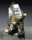 Rare Quartz with rutile inclusion crystal specimen Royalty Free Stock Photo