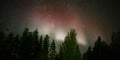 Rare red Northern lights over forestscape in the night Royalty Free Stock Photo