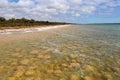 Rare thrombolites at Lake Clifton West Australia