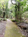 The Falls walk@ Minnamurra RainforestÃÂ in Budderoo National Park Royalty Free Stock Photo