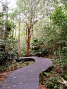 The Falls walk@ Minnamurra RainforestÃÂ in Budderoo National Park Royalty Free Stock Photo