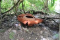 Rare tropical giant flower rafflesia arnoldii in full bloom in Borneo island rainforest mountains