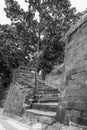 Pleasant The Stair In Contrast To The Pedestrian Way With The Tree In The Daytime