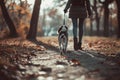 Rare view of a dog walks in the park with female owner leading the leash.