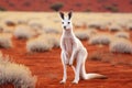 Rare white kangaroo. Generative AI