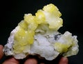 Rare yellow and White Brucite Mineral specimen from Baluchistan pakistan Royalty Free Stock Photo