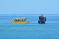 Raro Reef SubMarine Life Eco Tours in Avarua Rarotonga Cook Isl Royalty Free Stock Photo