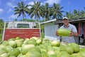 Cook Islander farmer holds a watermelon in Rarotonga Cook Islan