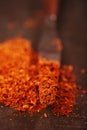 Ras el hanout is a spice mix from Morocco Royalty Free Stock Photo